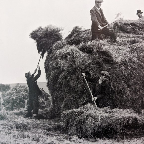 Dorothea Lange's Ireland by Gerry Mullins (1998, Trade Paperback) - Picture 9 of 15